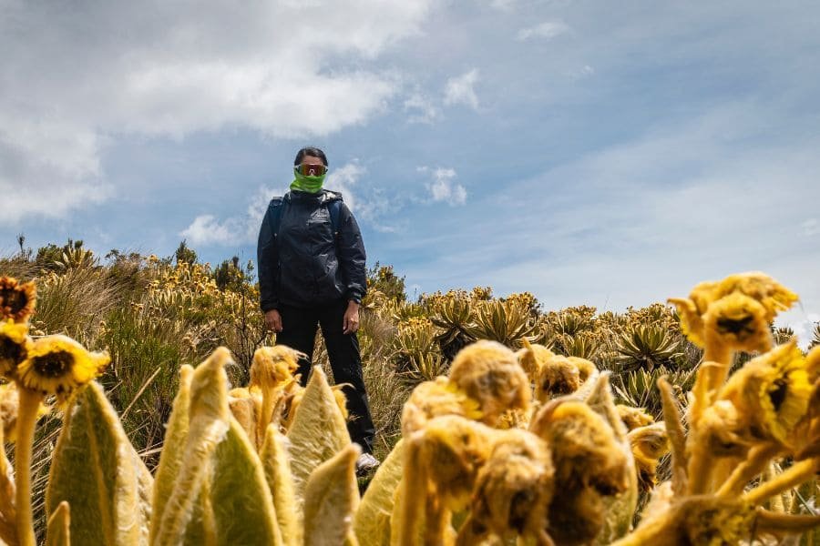 parques nevados 6